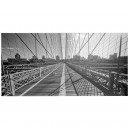 Kader Brooklyn Bridge